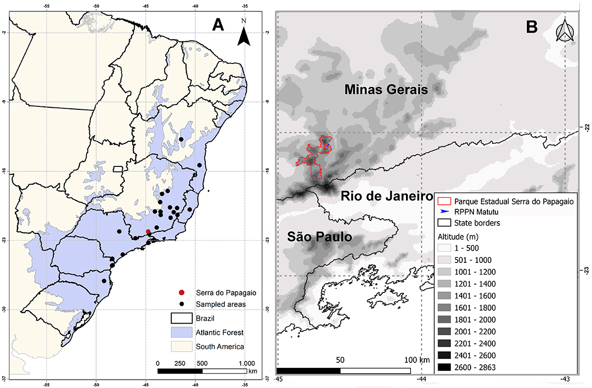 Image from article 1